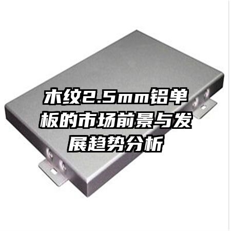 ľ2.5mmгǰ뷢չƷ