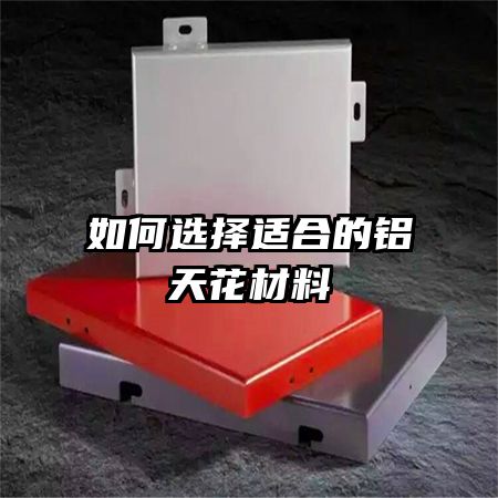 ѡʺϵ컨