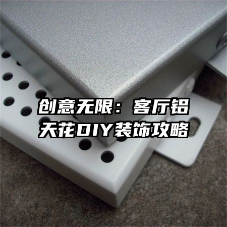 ޣ컨DIYװι