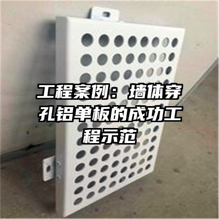 ̰ǽ崩ĳɹʾ