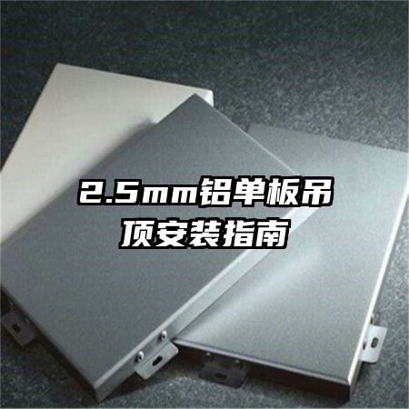 2.5mmװָ