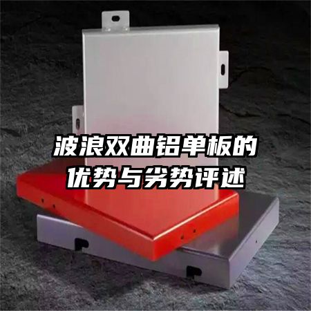 ˫