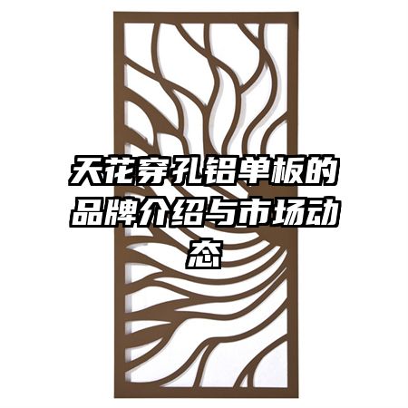 컨Ʒƽг̬