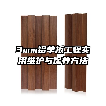 3mm幤ʵά뱣